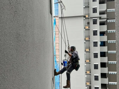 Rope Access Painting sg